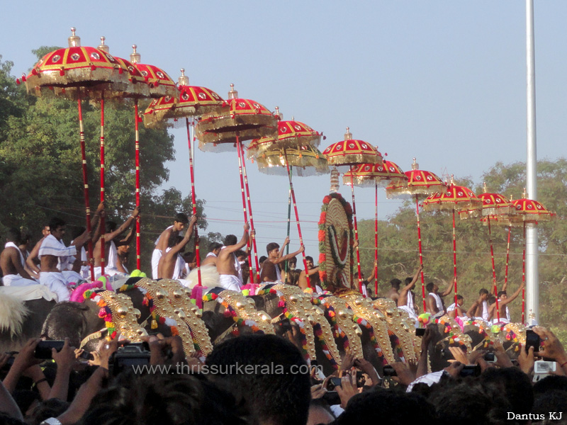 thrissur-pooram-2013-2 (2)